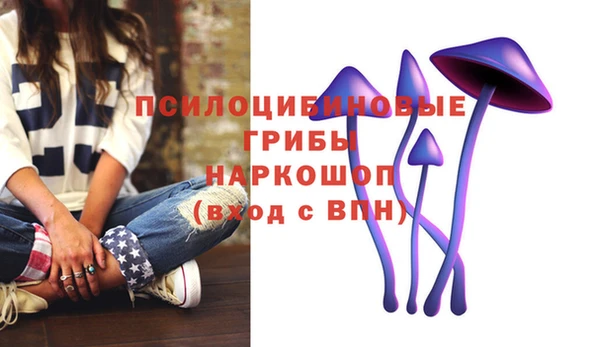 дмт Новозыбков