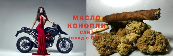 дмт Новозыбков