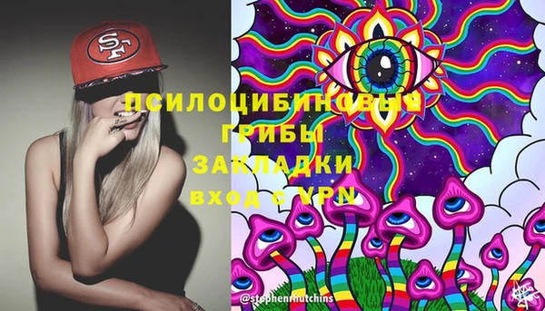 дмт Новозыбков